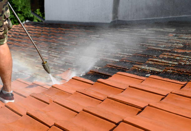 Best Commercial Pressure Washing  in Caryville, TN