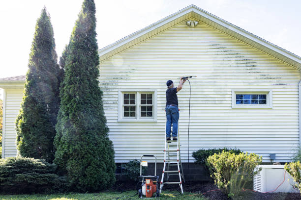 Best Affordable Pressure Washing  in Caryville, TN