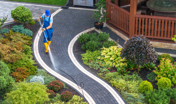 Best Sidewalk Pressure Washing  in Caryville, TN
