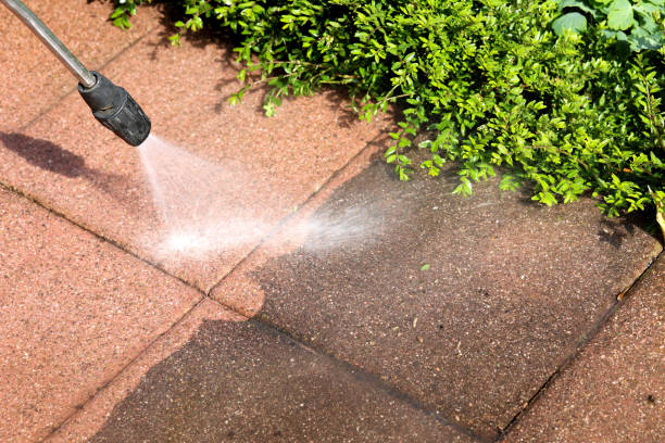Best Residential Pressure Washing Services  in Caryville, TN